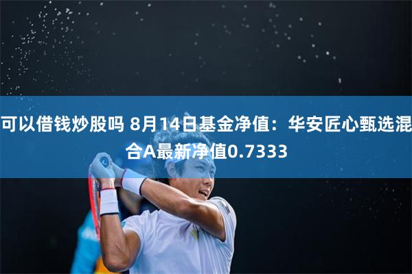 可以借钱炒股吗 8月14日基金净值：华安匠心甄选混合A最新净值0.7333