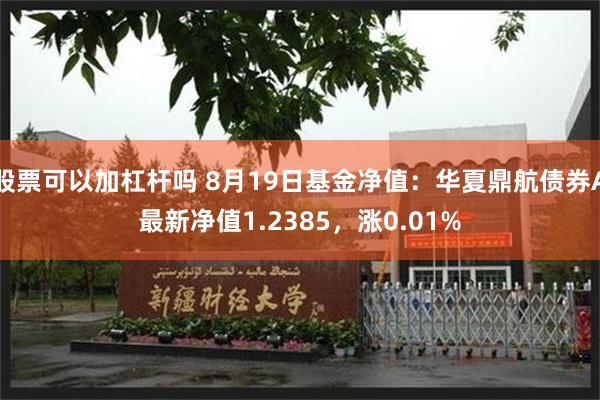 股票可以加杠杆吗 8月19日基金净值：华夏鼎航债券A最新净值1.2385，涨0.01%