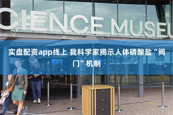 实盘配资app线上 我科学家揭示人体磷酸盐“阀门”机制