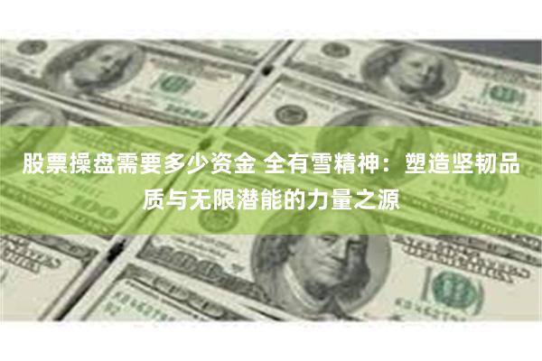 股票操盘需要多少资金 全有雪精神：塑造坚韧品质与无限潜能的力量之源