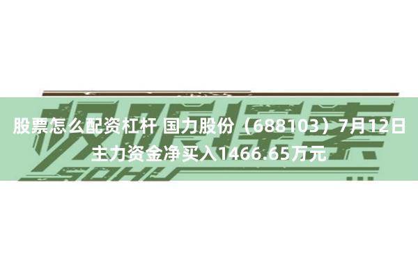 股票怎么配资杠杆 国力股份（688103）7月12日主力资金净买入1466.65万元