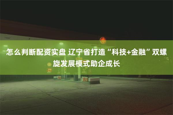 怎么判断配资实盘 辽宁省打造“科技+金融”双螺旋发展模式助企成长