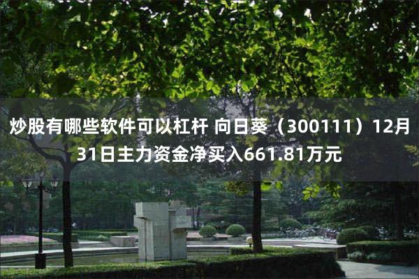 炒股有哪些软件可以杠杆 向日葵（300111）12月31日主力资金净买入661.81万元