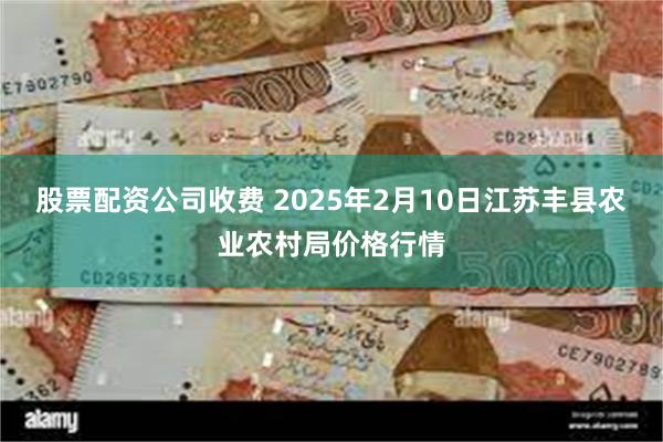 股票配资公司收费 2025年2月10日江苏丰县农业农村局价格行情